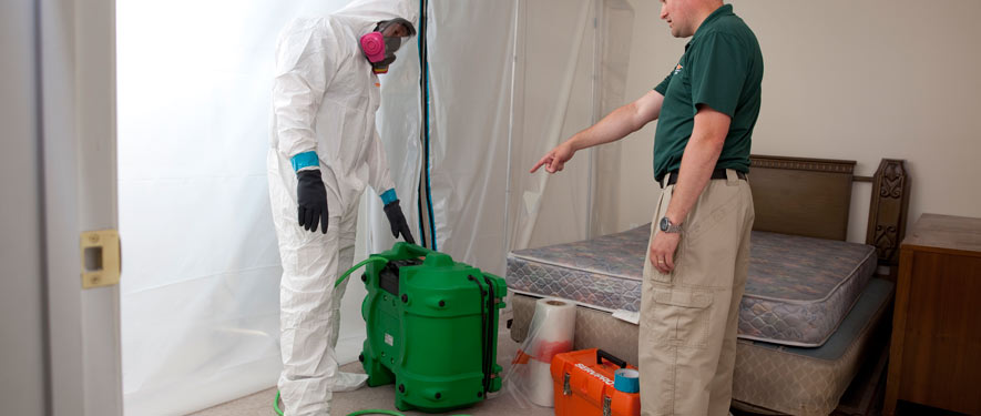 Gainesville, FL mold removal process